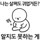 파리바게뜨파동가창점 네이버블로그