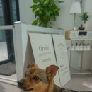 오르네(ornee) 네이버블로그