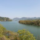 남이섬여행펜션 이미지