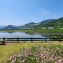 호숫가힐튼 이미지