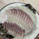 광어9900 | 원천동 횟집 가성비 끝판왕 광어1마리 9900 수원본점 후기