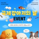 주식회사 인투씨