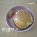 혼놀후기(혼자놀았다는뜻.)(조선부런치, 서브스턴스)