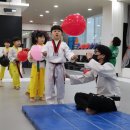 청지태권도장 이미지