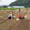 서울농자재 이미지