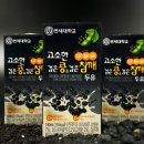 연세대학교 연세유업 이미지