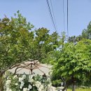 선샤인스포츠 이미지