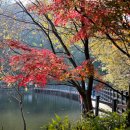 2026년 11월 15일(셋째주/1,261차) "구미 금오산" 산행 갑니다.. 이미지