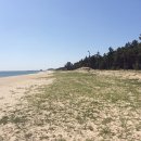 송정여관 이미지