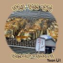 정선애 장어 먹으러 와요 이미지