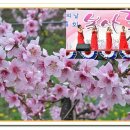 영덕싱싱농원 이미지