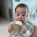 빨대소리 | 아기 빨대컵 사용시기 연습 아가방좋은젖병 빨대컵 사용후기