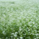 그림, 그리다 이미지