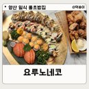 요루노네코 | 양산 일식 요루노네코 물금 맛집