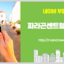 파라곤단지내공인중개사사무소 이미지