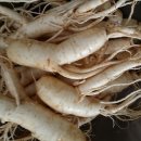 금산홍삼집 이미지