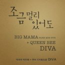 퀸비(Queen Bee) 이미지