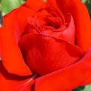 기문농장 이미지