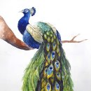 디앤에이(DNA) 이미지