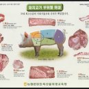 내가 돼지라니 이미지