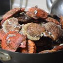 고향전집 이미지