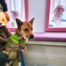 태양 동물병원 이미지