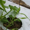 한구농장 이미지