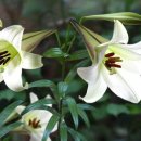 솔한의원 이미지