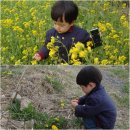 차성규농장 Daum카페