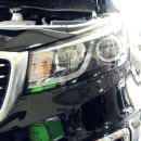 참피온경정비 이미지