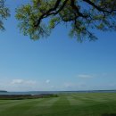 하버타운 이미지