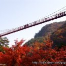 사모 / 詩 조지훈 (낭송:한송이) 이미지