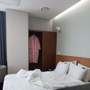 더네이처 이미지