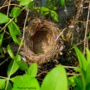 하얀둥지 이미지