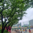 서림초등학교 | 포토부스대여 인천서림초등학교 어린이날 우정네컷사진 렌탈 후기