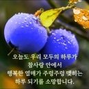인사말 이미지 이미지