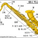 색소폰 이미지