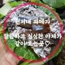 포항과메기, 구룡포과메기, 과메기야채세트 택배후기
