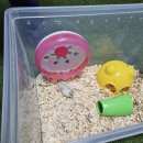 매산리 538 이미지