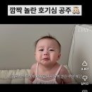 이삭토스트태안점 | 분량 말이안돼