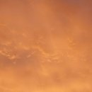 산우 농장 이미지