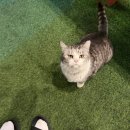 보쉬카서비스 동해삼척점 | 삼척 동해 2박3일 휴식여행