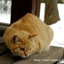 딩동댕동 이미지