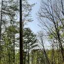 양동농장 이미지