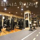 레이 휘트니스 이미지