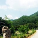 더 맑은 민박 이미지