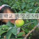 거창-고제-5 이미지