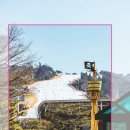 홍천관광호텔