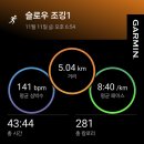 둔덕왕새우