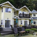 숲속의 섬 이미지